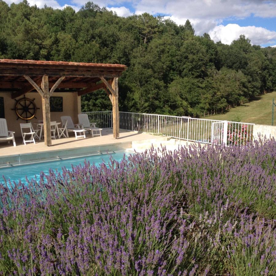 Bed and Breakfast Les Rocailles De La Reine Lamonzie-Montastruc Exterior foto